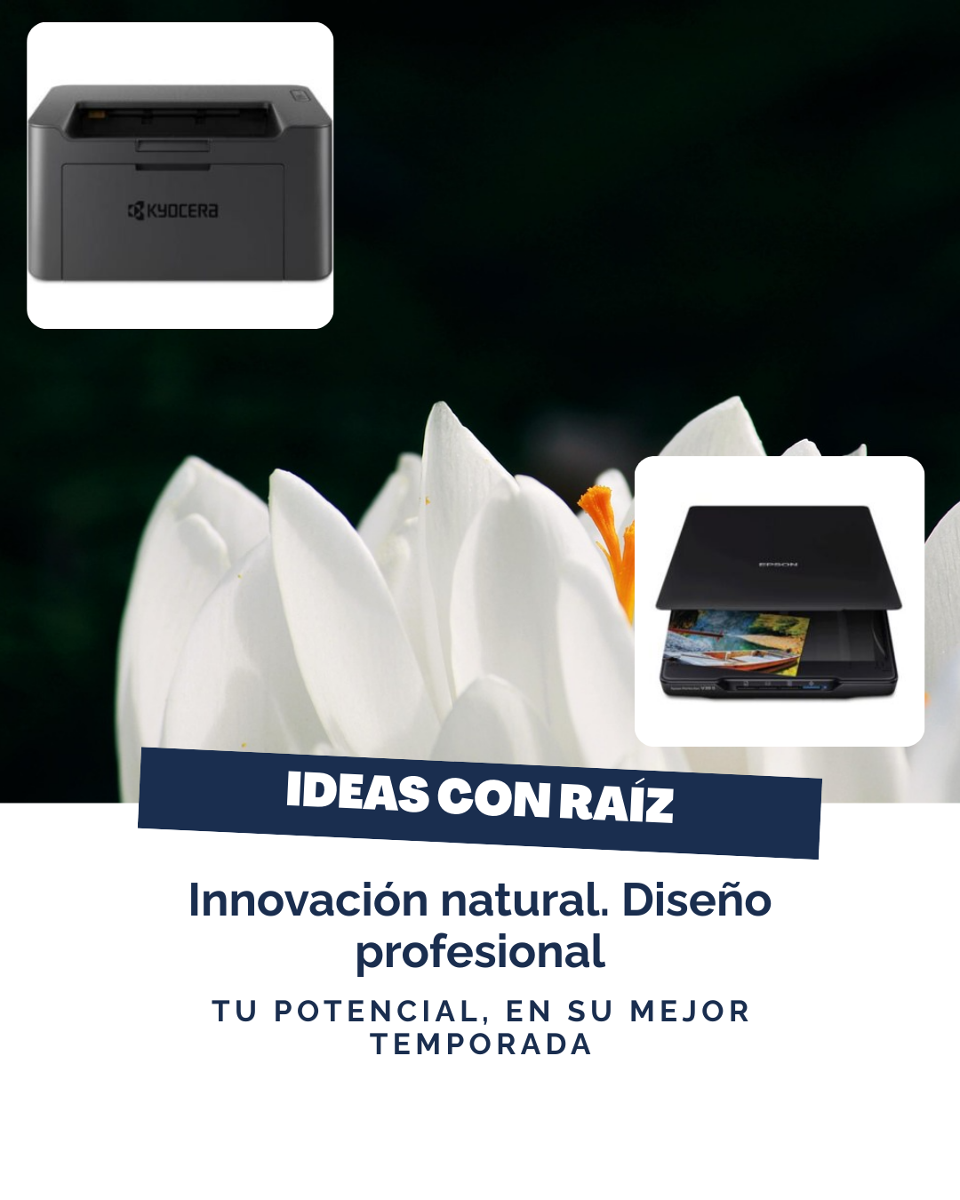 Carrusel de Instagram Venta de Valijas Dinámico Verde (1)