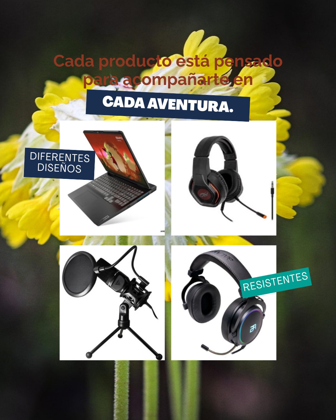 Carrusel de Instagram Venta de Valijas Dinámico Verde (2)