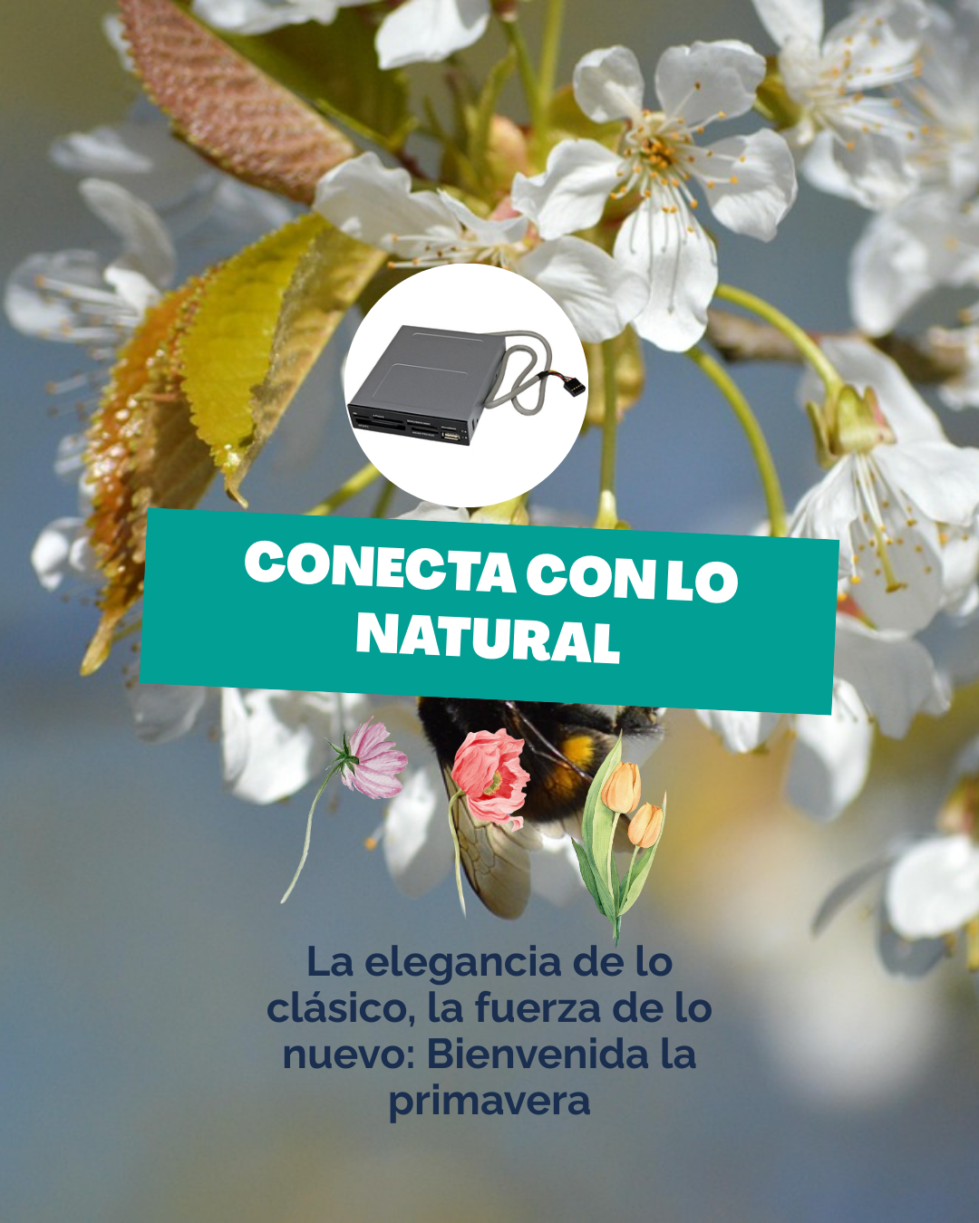 Carrusel de Instagram Venta de Valijas Dinámico Verde (3)