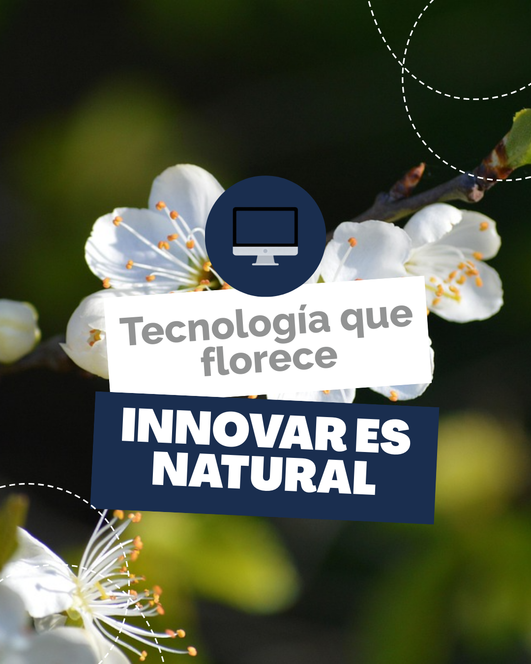 Carrusel de Instagram Venta de Valijas Dinámico Verde