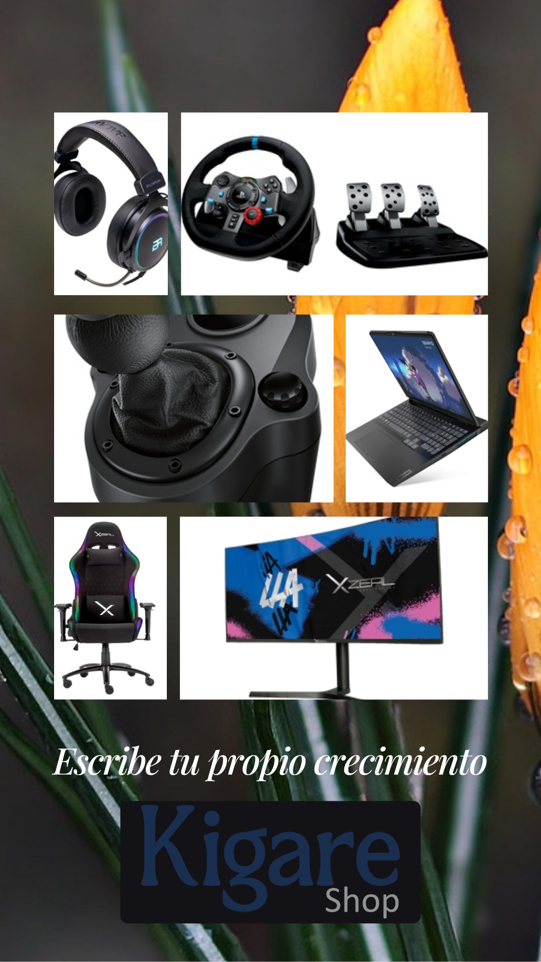 Story Instagram Portfólio Link Decoração Verde Branco Moderno Minimalista (1)